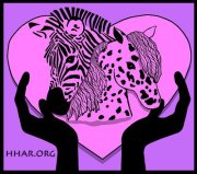 Hearts and Hands Animal Rescue